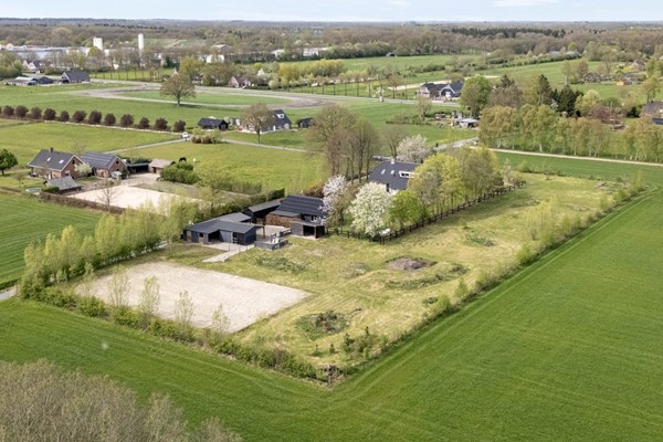 07 - kopie.jpg